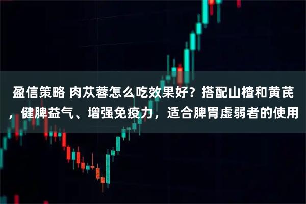 盈信策略 肉苁蓉怎么吃效果好？搭配山楂和黄芪，健脾益气、增强免疫力，适合脾胃虚弱者的使用